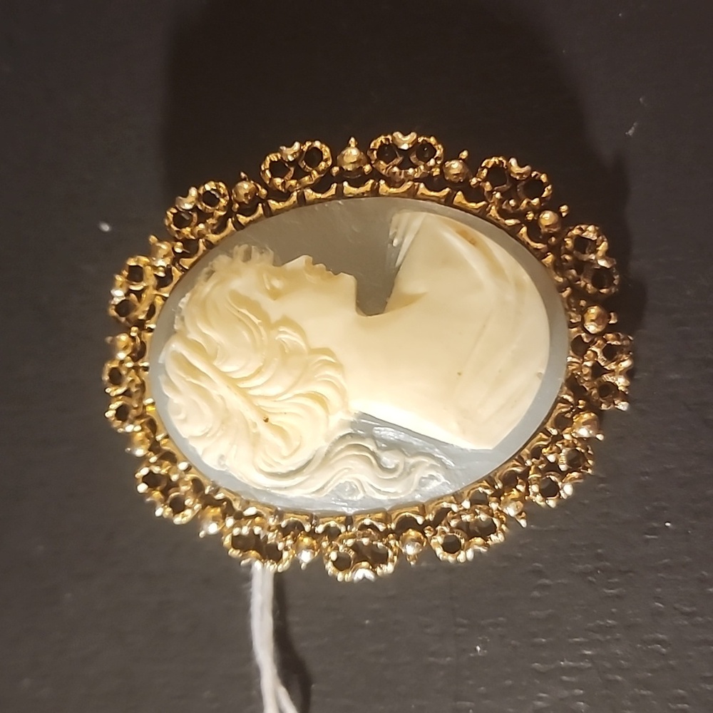 Vintage Cameo Brooch/ Lapel Pin.